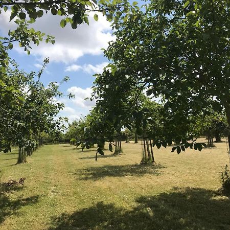 Vakantiehuizen 'T Centrum Oostkapelle Bagian luar foto